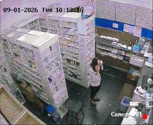 Caméra IP - AU