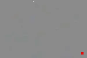 Caméra IP - IT