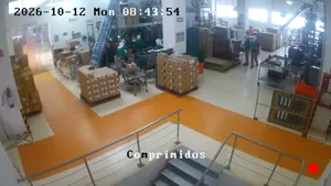Caméra IP - MX