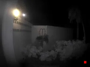 Caméra IP - US
