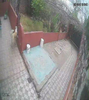 Caméra IP - AR