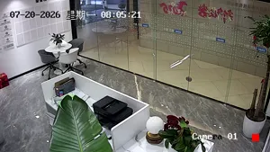 Caméra IP - CN