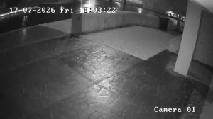 Caméra IP - AU