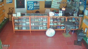 Caméra IP - MX