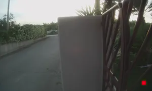 Caméra IP - IT
