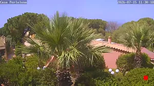 Caméra IP - IT