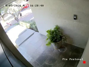 Caméra IP - MX