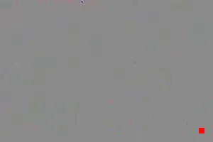 Caméra IP - IT