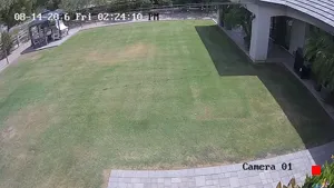 Caméra IP - US