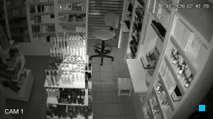 Caméra IP - AR