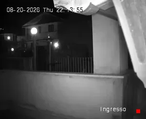 Caméra IP - IT