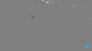 Caméra IP - IN