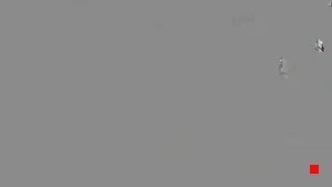 Caméra IP - ES