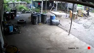 Caméra IP - IN