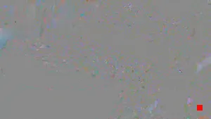 Caméra IP - HU