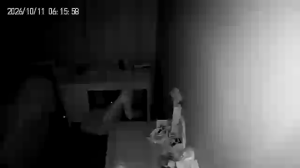 Caméra IP - IN
