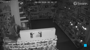 Caméra IP - US