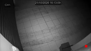 Caméra IP - IT