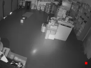 Caméra IP - IT