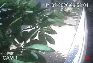 Caméra IP - BR