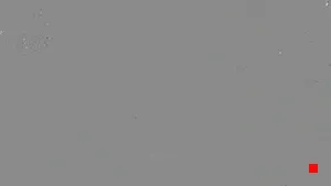 Caméra IP - ES