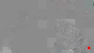 Caméra IP - IT