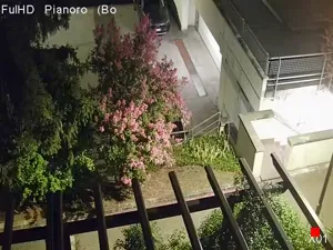 Caméra IP - IT