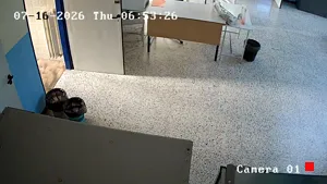 Caméra IP - IT