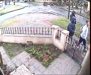 Caméra IP - AR