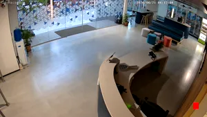Caméra IP - IN