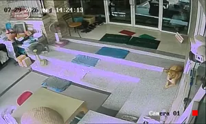 Caméra IP - TH