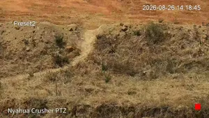 Caméra IP - TZ