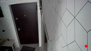 Caméra IP - RO
