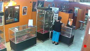 Caméra IP - MX
