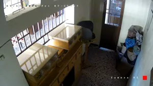 Caméra IP - GR