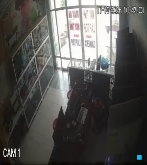 Caméra IP - VN