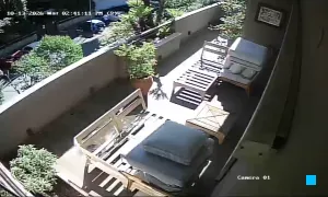 Caméra IP - IT