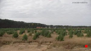 Caméra IP - RU