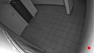 Caméra IP - MD