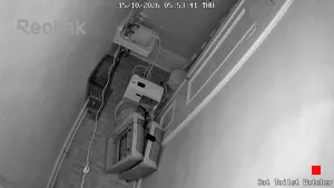 Caméra IP - US