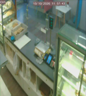Caméra IP - PL