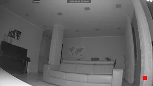 Caméra IP - IT