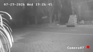Caméra IP - ZA
