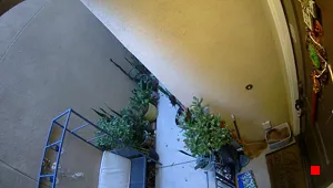 Caméra IP - US