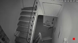 Caméra IP - DE