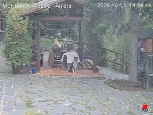 Caméra IP - ES