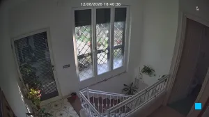 Caméra IP - IT