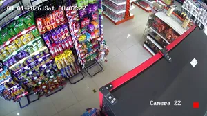 Caméra IP - MX