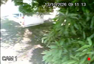 Caméra IP - BR