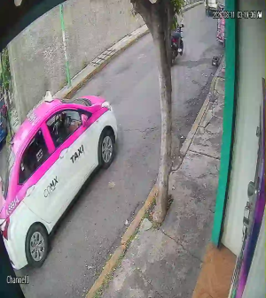Caméra IP - MX